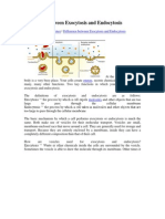 Difference Between Exocytosis and Endocytosis