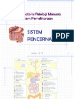 Sistem Percernaan