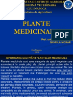 Plante Medicinale