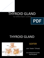 Thyroid Gland Slides