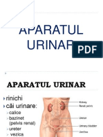 Aparat Urinar Curs 2012 2013