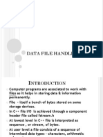 Data File Handling Points