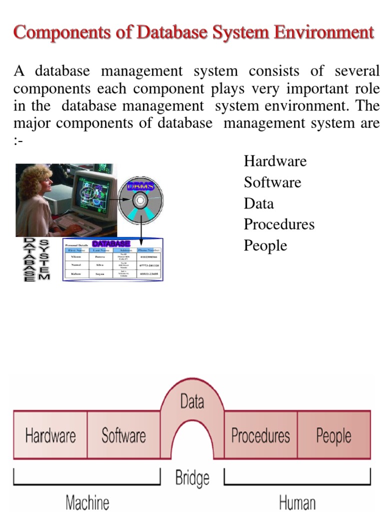 Copac Mire Bronz Role Of Dbms Mcbcgadsden Org