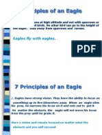 7 Principles of Eagle