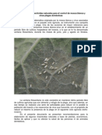 Elaboracion de insecticidas naturales para el control de mosca blanca y otras plagas domesticas-1.pdf