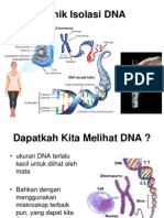Isolasi DNA