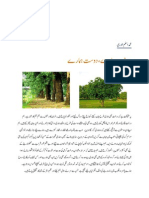Green Pakistan-Plantation Campaign