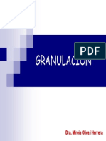 Técnica de Granulación