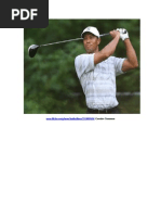 Download Tiger Transgresses  5 Little Known Secrets To Why Good Men Cheat by Jed Diamond SN23519676 doc pdf