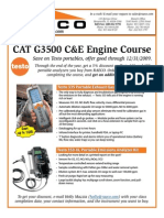 Testo For Cat Training PDF