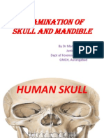 Skull and Mandible - Forensic Anatomy