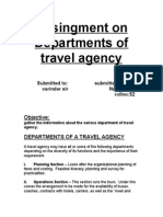 To Make A Report On The Departments of Travel Agency, Arranging Special Permits and Documents Required For Visasv
