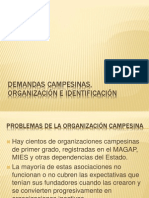 Demandas Campesinas, Organización e Identificación