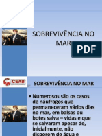 Resumo Sobrevivncia No Mar