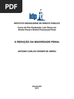 Antonio Carlos Croner de Abreu - A Redução Da Maioridade Penal