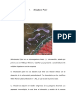 Libro de Microbiologia Version 1