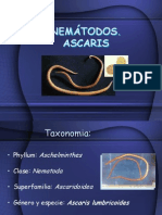 Ascaris Lumbricoides