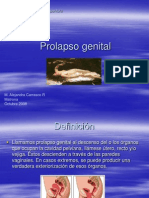 Presentacion Prolapso Genital
