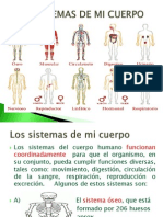 Sistemas del cuerpo humano y funciones del esqueleto