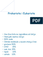 I - Prokariote I Eukariote S