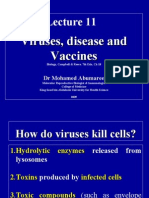 Viruses, Disease and Vaccines
