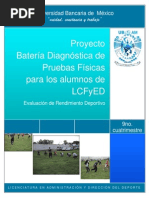 PROYECTO MENDIETA.docx