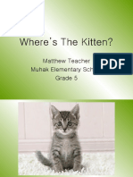 Where's The Kitten?: Matthew Teacher Muhak Elementary School Grade 5