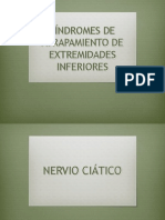 Síndromes de Atrapamiento de Miembros Inferiores - Andy