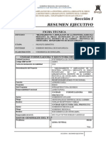 Resumen Ejecutivo - Ficha (Imprimir)