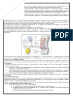 Dialisis Peritoneal