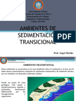 Tema 9 Transicional.ppsx
