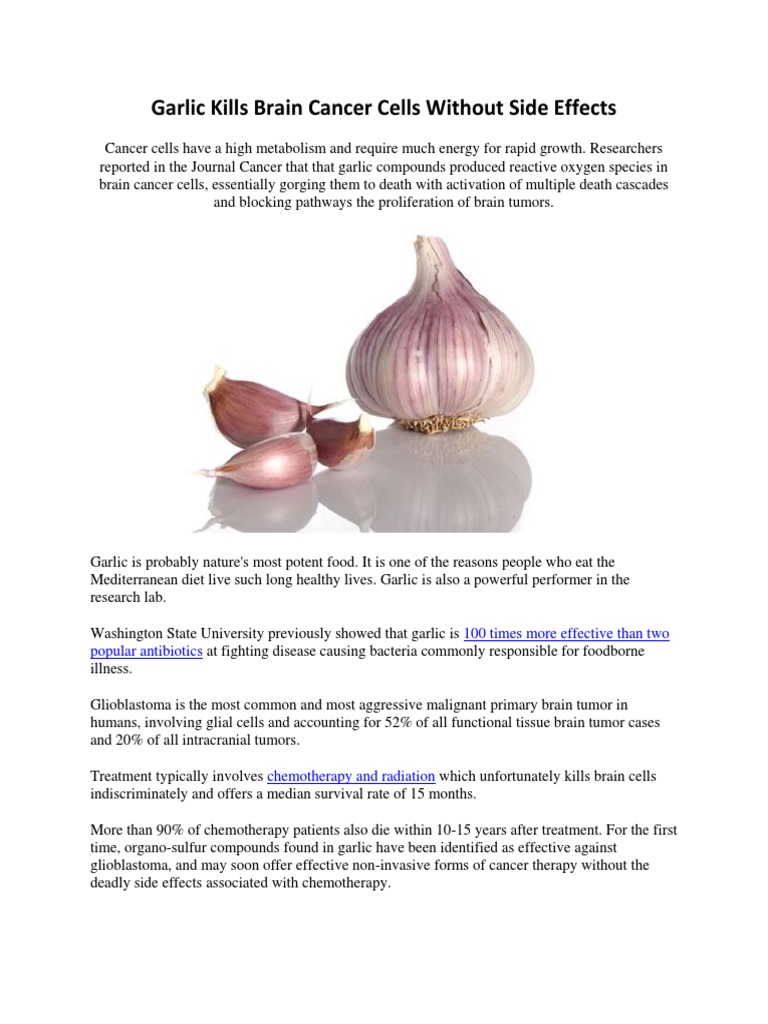 Garlic Kills Brain Cancer Cells Without Side Effects Brain Tumor Cancer