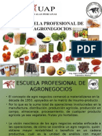 Escuela Profesional de Agronegocio Alas Peruanas