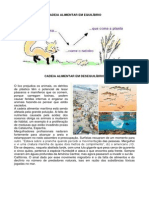 Cadeia Alimentar Em Equilíbrio