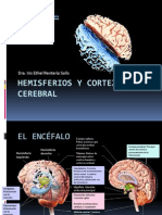 Hemisferios y Corteza Cerebral