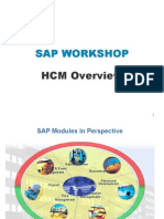 Sap Human Capital Management - Workshop Presentation