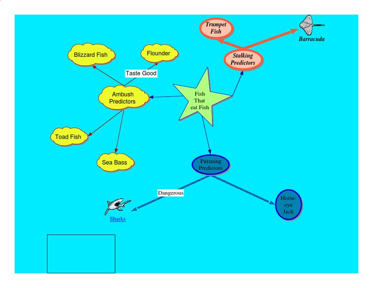 Fishmap | PDF