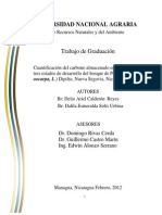 Cuantificación Del Carbono Almacenado PDF