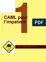 CamlIntro.pdf