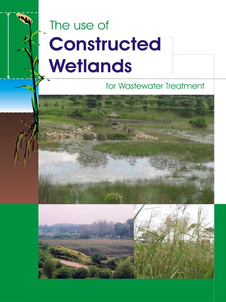 The use of constructed wetlands for wastewater treatment Wastewater