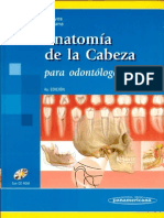 Anatomia de Cabeza