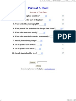Parts of A Plant Worksheet