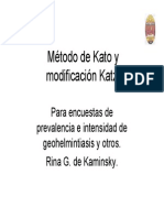 N1 Kato2008 PDF