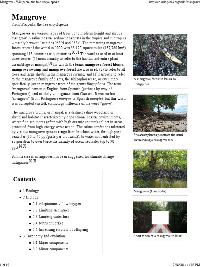 Mangrove Wikipedia The Free Encyclopedia Mangrove Systems Ecology - 