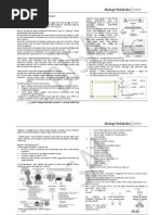 Download 2 Biologi Molekuler Sumatif 2 by Andi Wijaya SN235384759 doc pdf