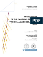 IN VIVO STUDY OF THE COUPLING BETWEEN TWO CELLULAR OSCILLATORS