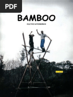 Lecao Bambu Cultivo