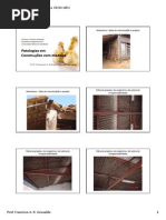 Patologias