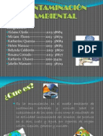 Contaminación Ambiental