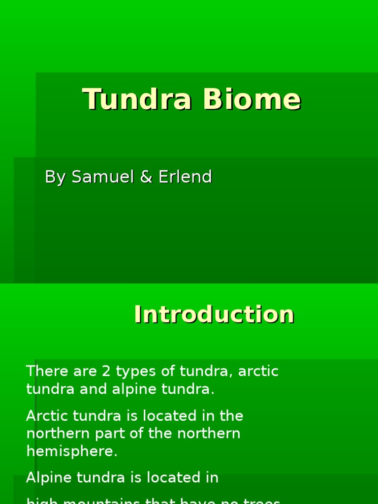Tundra Biome: Facts and Species | PDF | Physical Geography | Earth Sciences